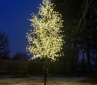 Outside Glowing LED Cherry Blossom Tree
